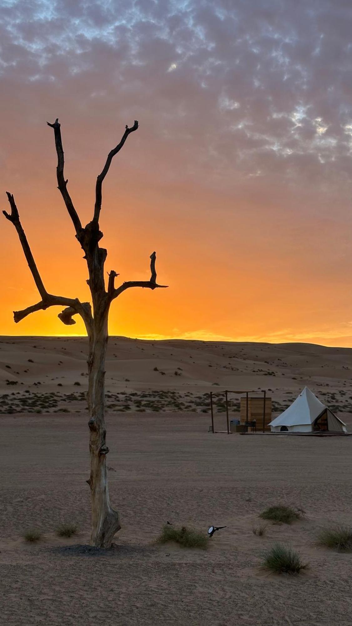 Campsite Ayla Bidiyah